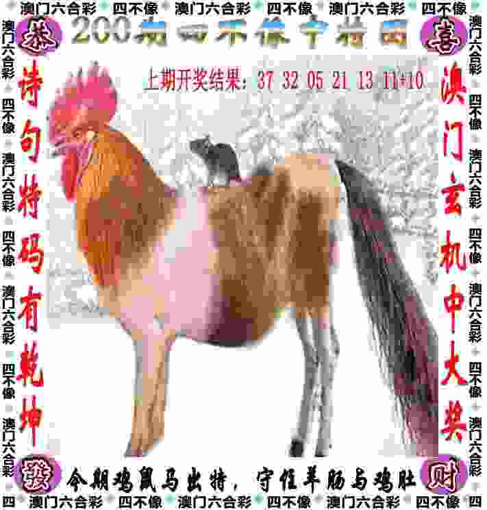 >2005年澳门天天开好