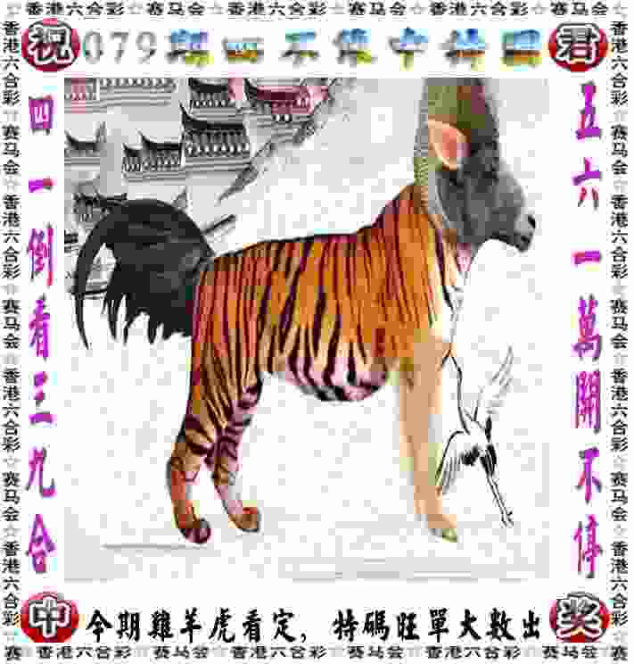 >2005年澳门天天开好